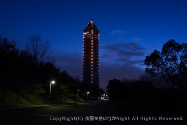 東山スカイツリーの外観