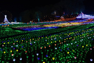 花々をイメージしたイルミネーション