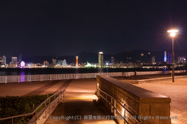 公園内の雰囲気とポートタワーを中心とした夜景