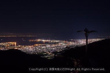 キジのシルエットと夜景