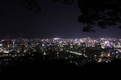 高知市街の夜景