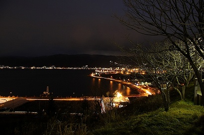 諏訪湖SA(上り線)から湖沿いの道路のライトアップを中心に眺める夜景