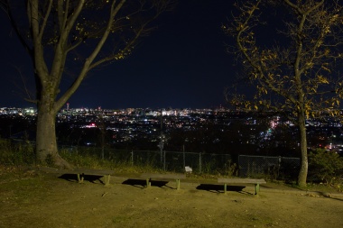 園内の雰囲気と夜景